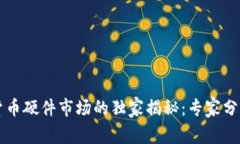 中国数字货币硬件市场的独家揭秘：专家分享投
