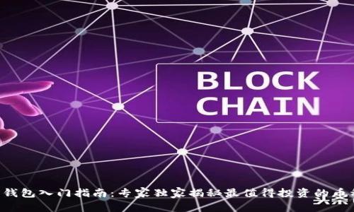 以太坊钱包入门指南：专家独家揭秘最值得投资的币种秘诀！