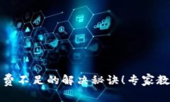 揭密TP钱包矿工费不足的解决秘诀！专家教你如何