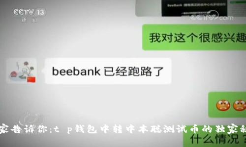 专家告诉你:t p钱包中转中本聪测试币的独家秘诀