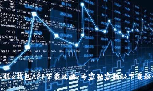工银e钱包APP下载攻略:专家独家揭秘下载秘诀