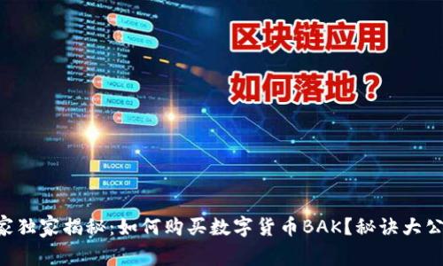 专家独家揭秘：如何购买数字货币BAK？秘诀大公开！