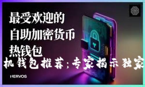 以太坊手机钱包推荐:专家揭示独家使用秘诀