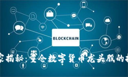 专家独家揭秘:重仓数字货币龙头股的投资秘诀