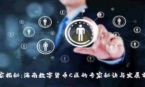 独家揭秘:海南数字货币C区的专家秘诀与发展前景