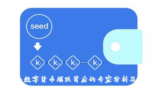 独家揭秘:数字货币爆跌背后的专家分析及投资秘诀