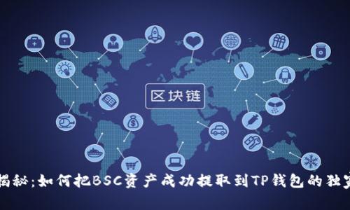 专家揭秘:如何把BSC资产成功提取到TP钱包的独家秘诀