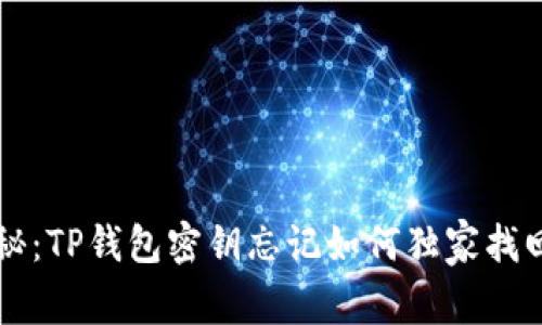 专家揭秘:TP钱包密钥忘记如何独家找回的秘诀