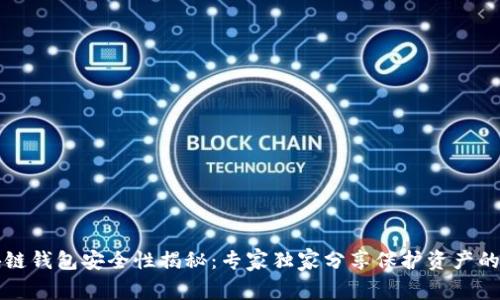 区块链钱包安全性揭秘：专家独家分享保护资产的秘诀