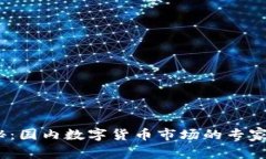 2023年独家揭秘：国内数字货币市场的