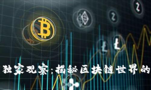 TP钱包大佬独家观察：揭秘区块链世界的秘密与诀窍