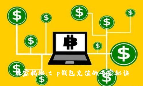独家揭秘:t p钱包充值的专家秘诀