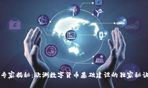 专家揭秘:欧洲数字货币基础建设的独家秘诀
