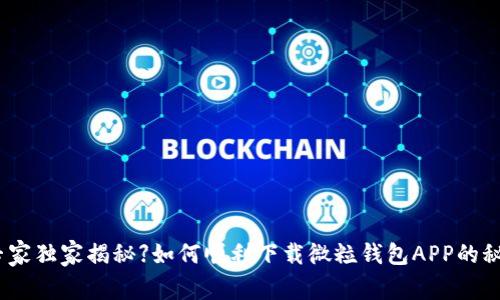 【专家独家揭秘】如何顺利下载微粒钱包APP的秘诀