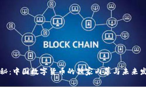 专家揭秘：中国数字货币的独家内幕与未来发展秘诀