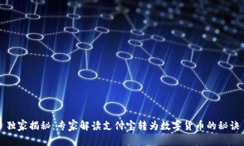 独家揭秘:专家解读支付宝转为数字货币的秘诀
