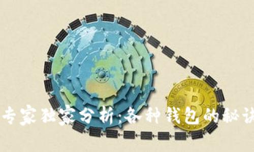 以太坊钱包专家独家分析:各种钱包的秘诀与选择指南