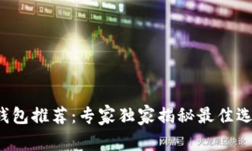 以太坊ERC20钱包推荐:专家独家揭秘最佳选择与使用秘诀!