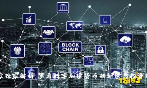 专家独家解析：罗马数字加密货币的秘密与投资秘诀