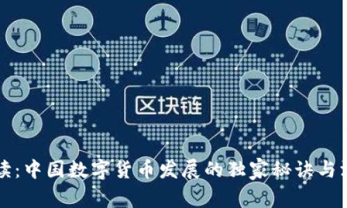 专家解读：中国数字货币发展的独家秘诀与深远意义