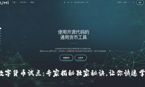 拉卡拉数字货币试点：专家揭秘独家秘诀，让你快速掌握机会！