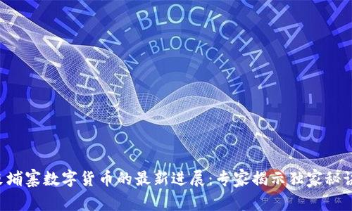 柬埔寨数字货币的最新进展:专家揭示独家秘诀!