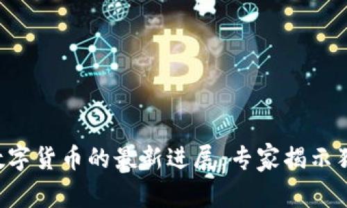 柬埔寨数字货币的最新进展:专家揭示独家秘诀!