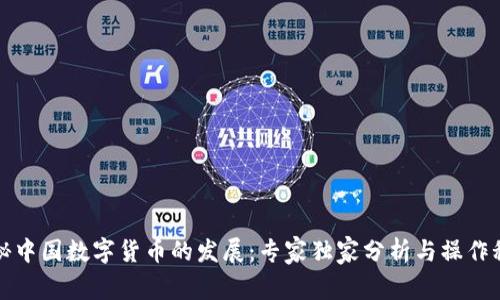 揭秘中国数字货币的发展:专家独家分析与操作秘诀