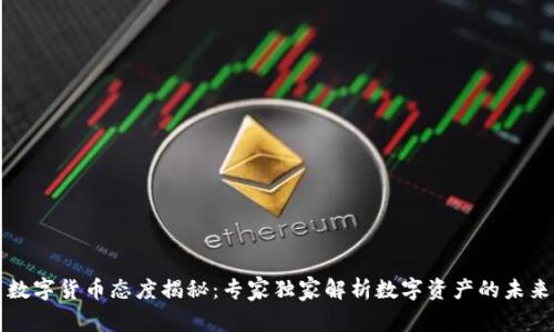 缅甸数字货币态度揭秘:专家独家解析数字资产的未来秘诀
