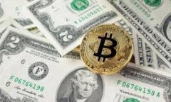 u钱包现状/u在如今这个数字化和移动支