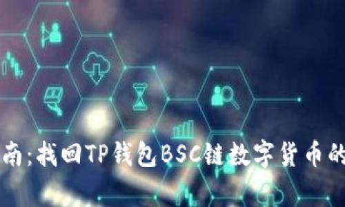 专家级指南:找回TP钱包BSC链数字货币的独家秘诀