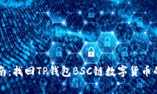 专家级指南:找回TP钱包BSC链数字货币的独家秘诀