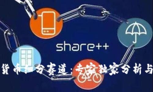 揭秘数字货币细分赛道：专家独家分析与投资秘诀