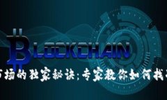 数字货币市场的独家秘诀：专家教你如