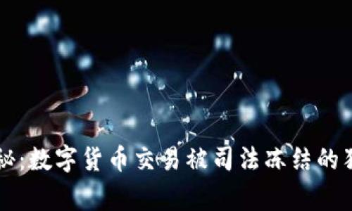 专家揭秘:数字货币交易被司法冻结的独家秘诀