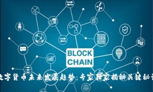 数字货币未来发展趋势:专家独家揭秘关键秘诀