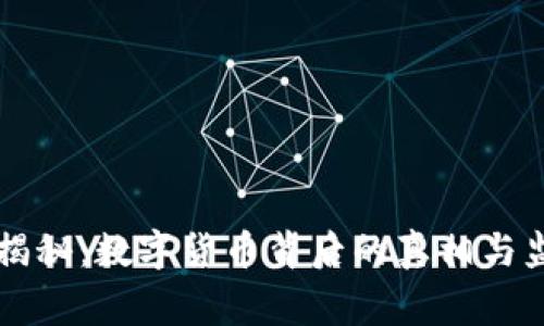 中纪委独家揭秘：数字货币背后的真相与监管专家意见