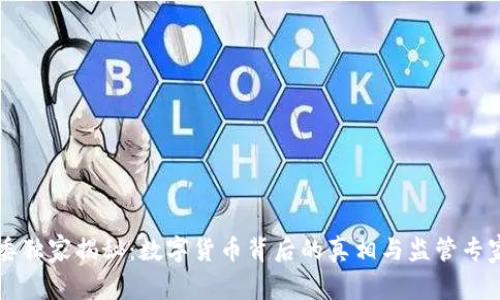 中纪委独家揭秘：数字货币背后的真相与监管专家意见