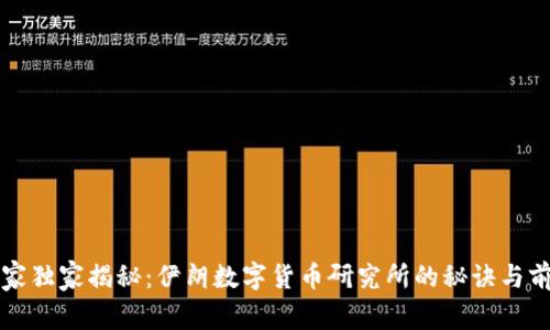专家独家揭秘:伊朗数字货币研究所的秘诀与前景