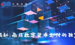 专家揭秘：南非数字货币支付的独家秘