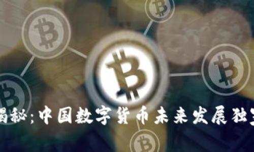 专家揭秘:中国数字货币未来发展独家秘诀