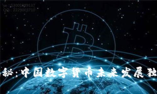 专家揭秘:中国数字货币未来发展独家秘诀
