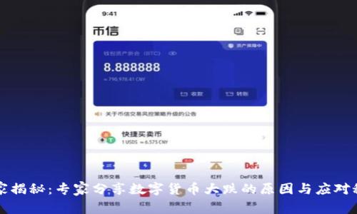独家揭秘:专家分享数字货币大跌的原因与应对秘诀