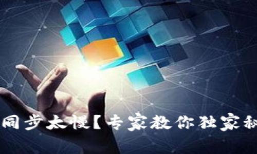 以太坊钱包同步太慢?专家教你独家秘诀快速解决