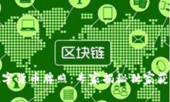 捷克数字货币牌照：专家揭秘独家获取