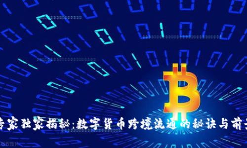 专家独家揭秘:数字货币跨境流通的秘诀与前景