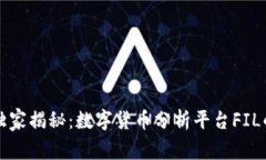专家独家揭秘：数字货币分析平台FI