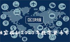 数字货币投资专家：独家揭秘2023年数