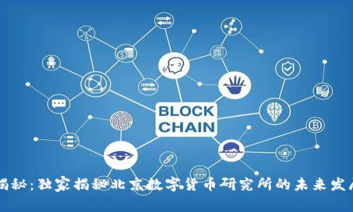 专家揭秘：独家揭秘北京数字货币研究所的未来发展秘诀