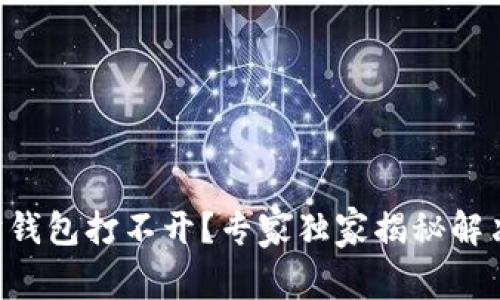 以太坊钱包打不开？专家独家揭秘解决秘籍！